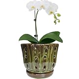 Grdthzey Ceramic Orchid Pots with Attached Saucer and Drainage Hole 6'' Orchid Planter (mossgreen)