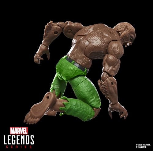 Marvel Legends Series Werewolf By Night, Marvel Comics Collectible 6-Inch Scale Action - image 4