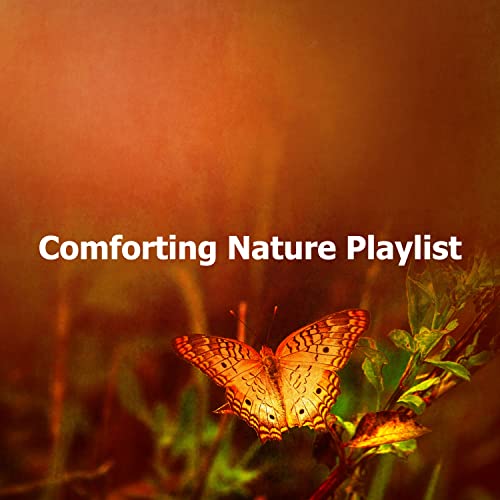 Naturealey Amazon MusicでNature AlleyのComforting Nature Playlistを再生する