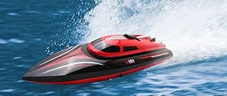 FMT H101 2.4G Remote Controlled 17 Inch Over size 25KM/H 180 Degree Flip