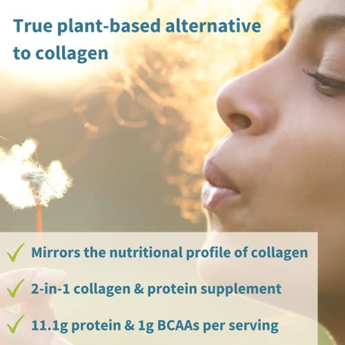 Pure & Essential Vegan Collagen Peptide Powder, Enhanced With Glycine, Proline & Hydroxyproline & Cofactor Vitamin C, Non Gmo, Complete Vegetarian Plant Based Collagen Powder Booster, 35 Servings #TOP1