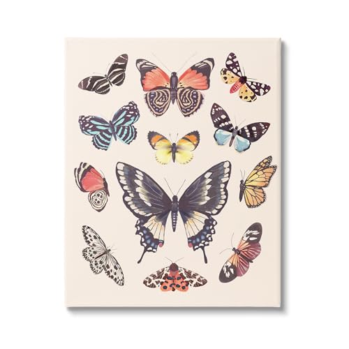 Stupell Industries Cottage Moths & Butterflies Canvas Wall Art by Diane Neukirch