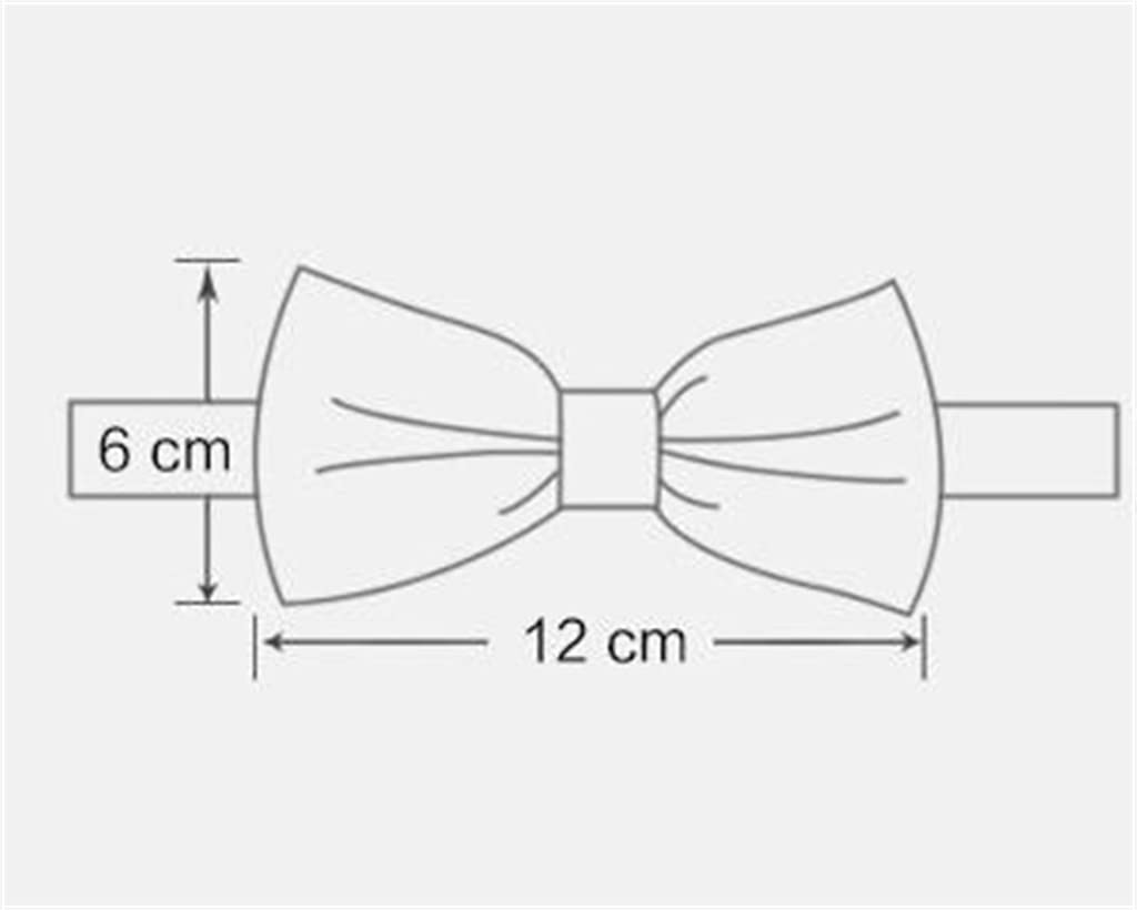 Pajarita para hombre Pajarita de boda Pajarita de seda Pajarita para hombre Accesorios de fiesta
