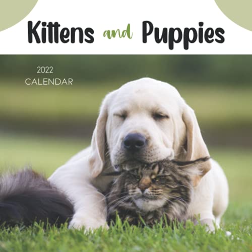 Kittens and Puppies 2022 Calendar: Beautiful Calendar with Large Grid for Note - To do list, Gorgeous 7x7'' Small Mini Calendar, Non-Glossy Paper