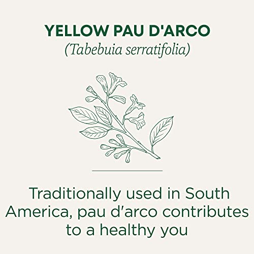 Traditional Medicinals Tea, Yellow Pau d'Arco, Everyday Wellness, 96 Tea Bags (6 Pack)