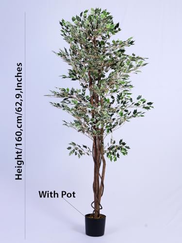 Image of ARICK DECOR 5.2Ft Artificial Variegated Ficus Tree - 160cm Tall Faux Lush White & Green Fig Tree with Braided Trunk in Pot - Realistic Floor Plant for Home, Office & Living Room