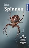 Basic Spinnen - Lars Wilker 