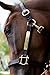 Tack Shack of Ocala Leather Halter with Customized Engraved Name Plate (Cob)