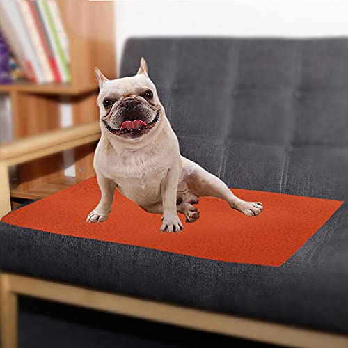 Image of Trance Waterproof Pet Training Pads | Reusable Pee Pad for Dogs Cats Puppy and Pets | Washable Pet Dry Sheet | Potty Trainer | Soft and Hypo-Allergenic (Medium, Size 1 x 0.7 m | 100 x 70 Cms, Brick Red)