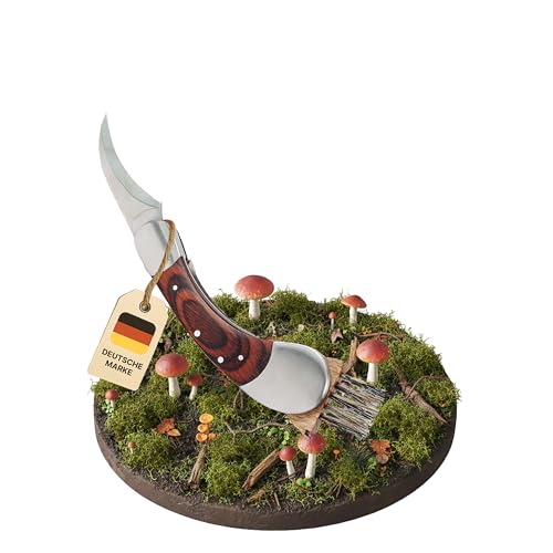 Dönges Couteau à champignons avec brosse, pliable, avec sac - Cadeau pour cueillir les champignons en plein air - Couteau éponge de qualité supérieure en acier inoxydable et bois de pakka