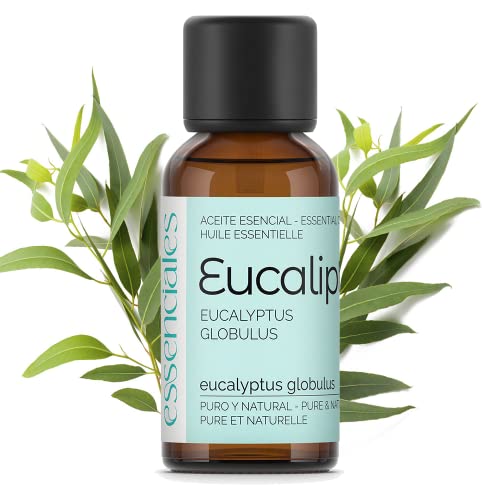 Encuentra todo sobre eucalipto en Mercadona desde hojas hasta aceite y