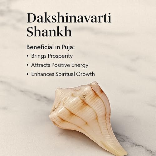 Image of Original Dakshinavarti Shankh | Natural Valampuri Shankh for Pooja | Right-Handed Conch | Lord Vishnu & Goddess Lakshmi | Spiritual & Vastu Decor (4-5 Inch)