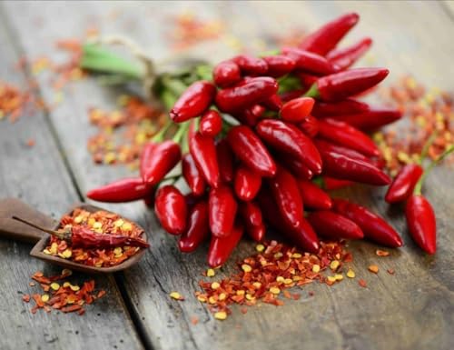 Semi di Peperoncino Calabrese a Mazzetti, Confezione da 30 Semi, Piccantezza Media, Peperone Piccante per Coltivazione