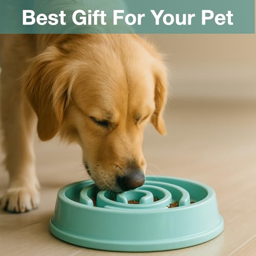 Image of Slow Feeder Bowl | Round Maze Food Bowl for Dogs and Cats | Anti Choking Puzzle Bowl | Anti Slip Interactive Feeding Dish | Durable & Easy to Clean | Anti Bloat and Aids Digestion (Blue)