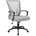 Furmax Office Mid Back Swivel Lumbar Support Desk, Computer Ergonomic Mesh Chair with Armrest (Gray)