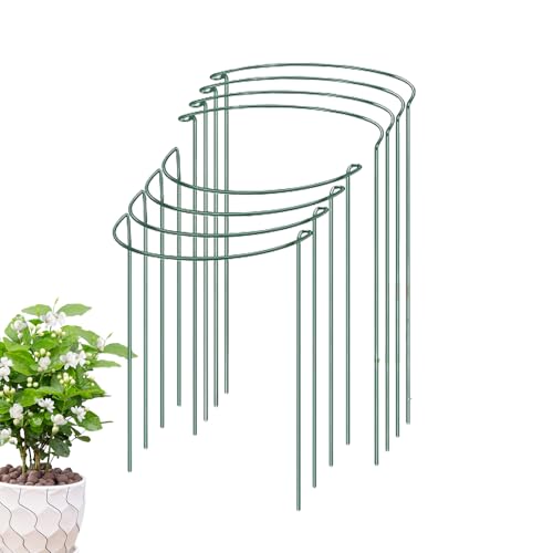 8 �{�̊ϗt�A���X�e�[�N - �������A���p�A���T�|�[�g�A���߉\�ȋ��������O�P�[�W�ƃT�|�[�g�A���������O�P�[�W�K�[�f���T�|�[�g�P�[�W�Ԗ�؉������O���A�������p G