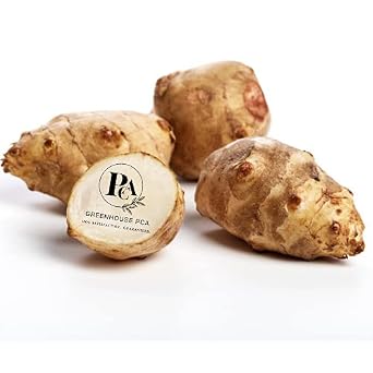 Sunchokes by Greenhouse PCA - 2.5 lbs Jerusalem Artichoke Bulbs for Planting OR Eating.