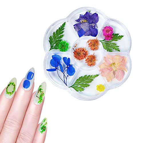 Flores secas para unhas - 3D Caixa de Flores Secas, Multicoloridas, Suprimentos de Decoração de Desi
