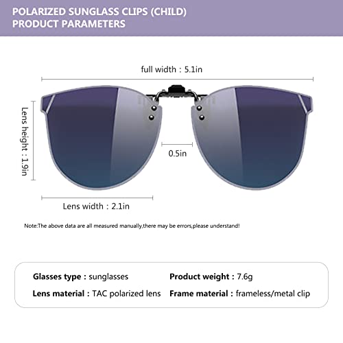 Image of Flip-Up Clip-On Polarized Sunglasses, UV Protection