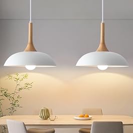 White Modern Dome Pendant...
