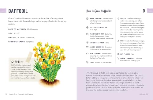 How to Grow Flowers in Small Spaces: An Illustrated Guide to Planning, Planting, and Caring for Your Small Space Flower Garden - Image 3