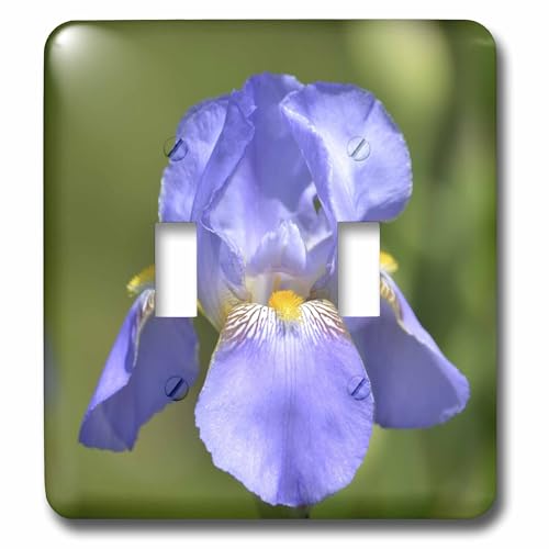 Interrupteur iris 3dRose LSP_54453_2 plaque décorative fleur de printemps - 2