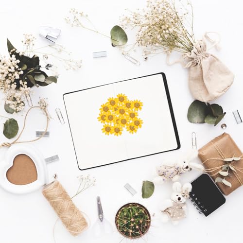 48 flores secas prensadas de margarita para manualidades miniatura 4