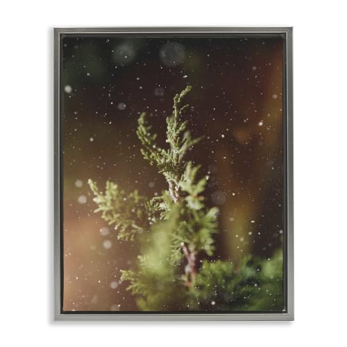 'Winter Snowfall Night Pine Tree'| Floating Frame Canvas Art