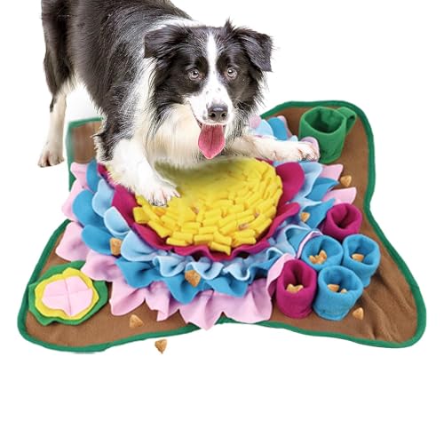 ̂肵a}bg - XibtuPbgAh{⏕Hi~̍̉a|̃g[jOpbhAoTQ[AETMAqLAbgAAXgX̂߂̃`[ϐ̗Vт