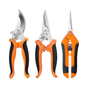 Wixovo 3 Stück Gartenschere, Gardena Gartenschere aus Edelstahl, Rosenscherem, Pflanzenschere für Äste, Blume Obst und Gemüse, Orange