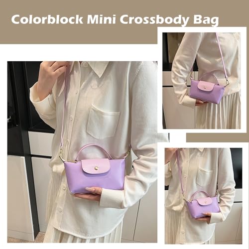 Fashion Mini Crossbody Bag, Handbags Purses with Adjustable Strap for Women, Ladies Shoulder Totes Bag3