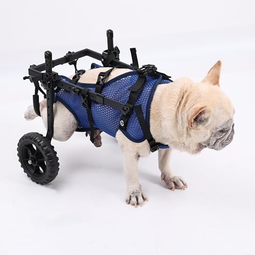 KAJILE Zweirädrige Klappbare Hunde-Rollstühle,Hinterbein-Rollstuhl für Kleine Haustiere,Verstellbarer Hunderollstuhl für Hinterbeine,Blau,XS