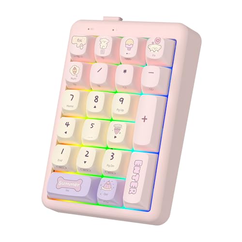 FOPATO NumberPad,21Keys HotSwappable Numpad,Bluetooth5.0/2.4G/Type-C Wireless Numeric Keypad,Rechargeable Number keypad,RGB Gasket Structure Mechanical Keyboard with PBT Keycap for PC Laptop Notebook