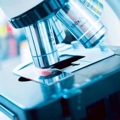 50 przygotowanych szkieł mikroskopowych 76 x 25 mm, 100 nakładek na szkło, 20 x 20 mm, z kroplą, odpowiednie do lekcji biologii i przygotowania próbek