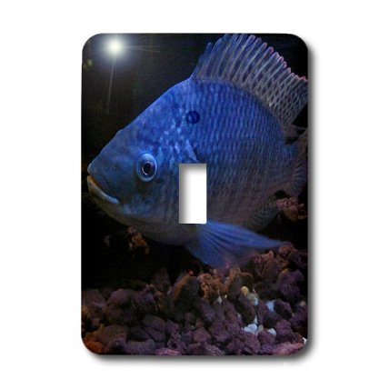 Grouper Bleu interrupteur à bascule 3dRose avec motif haute définition