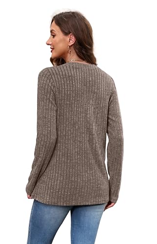 SAMPEEL Womens Tops Long Sleeve V Neck Pullover Fall Sweater Loose Fit Tunic Shirts Fashion Outfits 20254