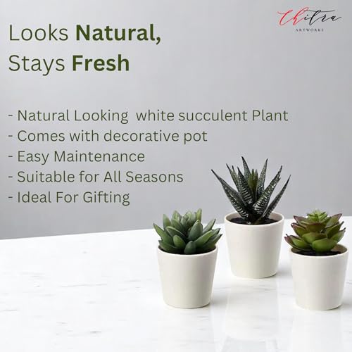 Image of Artificial Plants Fern with Pot for Home, Office, Living Room & Counter Decoration | Realistic Faux Greenery for Indoor Use | Durable Plastic Pot (5)