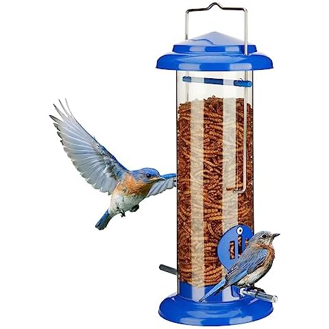 Kingsyard Bluebird Mealworm Feeder Cover