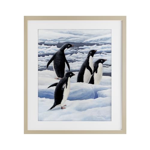 Stupell Industries Gerahmter Kunstdruck \"Adelie Pinguine auf Eisbirke\", unter Glas, Design von Jeremy Paul, 40,6 x 33 cm