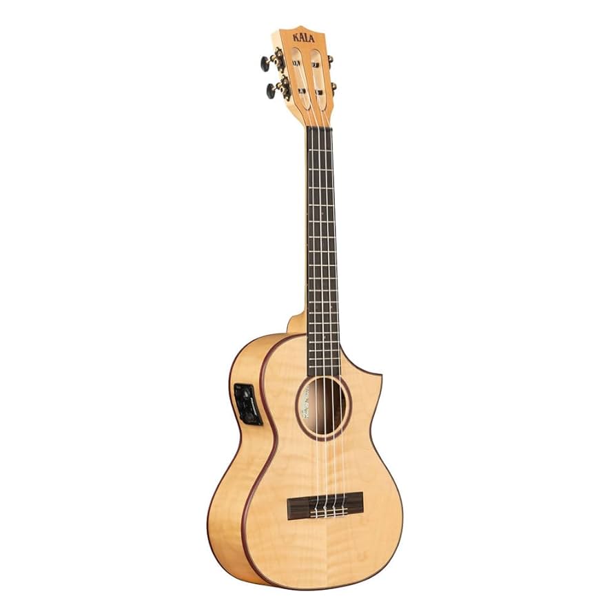 【Acoway】カナダ産フレイムメイプル材・コンサートウクレレ【ウクレレ専門店】 Amazon.co.jp: Acowayカナダ産フレイムメイプル材コンサート