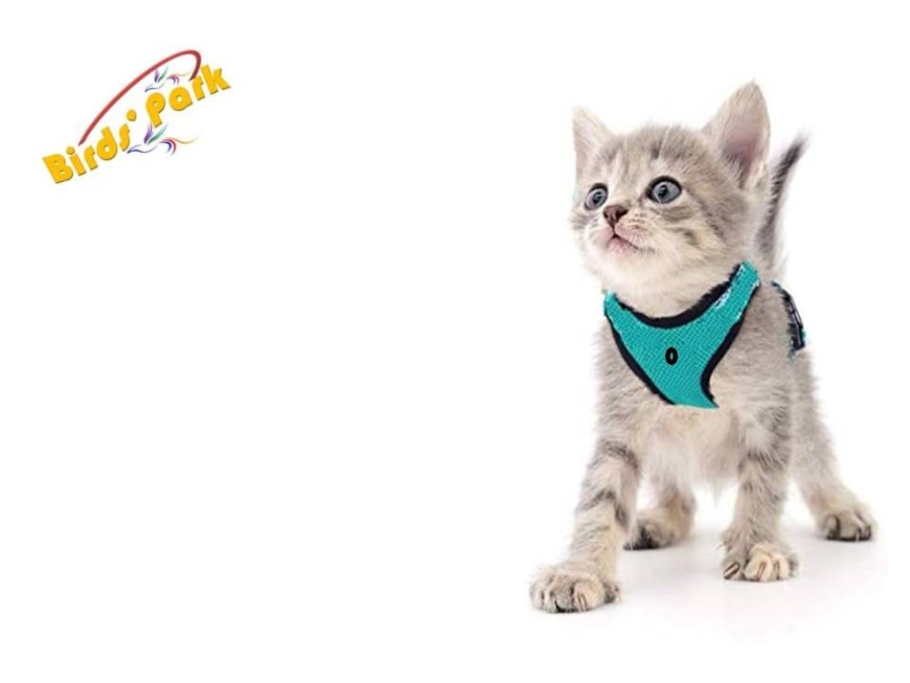Birds Park Kitten-Cat Puppy - Cat Nylon Harness with Lease Adjustable Small - Export Quality- Please Check Size Before Buying (Pack of 1) (B07Z83XK92) Amazon Price History, Amazon Price Tracker