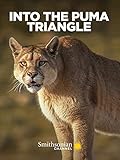 Into the Puma Triangle