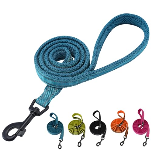 PETTOM Hundeleine Reflektierend Leine aus Nylon mit Weich Gepolsterter Griff und Metallhaken für Training, Robuste Leine Hund für Kleine Mittel Große Hunde (Blau 110 cm)