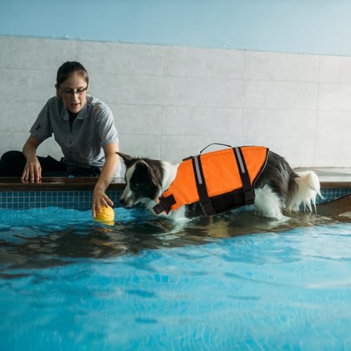 Hunde-Lebensjacke – reflektierende Schwimmjacke, atmungsaktiv und verstellbar | Wasserweste für Hunde zum Schwimmen, Pool, Kajakfahren, Rafting und See-Abenteuer