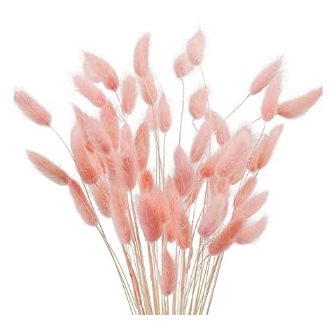 JKDHJK Fleurs Séchées Herbe de Pampa Cover