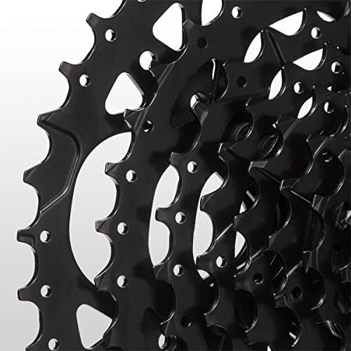 MICROSHIFT Cassette - Acolyte CS-H083-8 Speed - 12-42T - Black, 11-25t