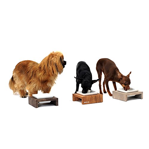 Wolters cat & dog, Replus Meshidai Futterstation für Hunde mit zwei Schalen aus Schieferholz und Keramik