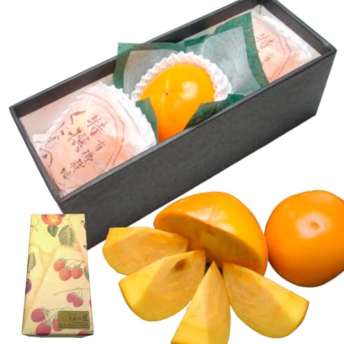 ޗǌY, xL` `, pϔ, r^~CLx, Mtg, v[g (4LTCYi3j)