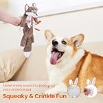 HGB Squeaky Dog Toys, No Stuffing Crinkle Plush Dog Toys to Keep Them Busy & Puppy Teething for Large, Medium, Small Breed, Easter Cute Bunny & Redfox - Image 2