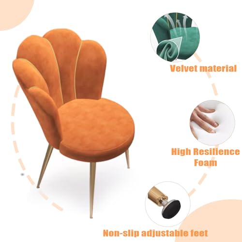 Silla de terciopelo y patas doradas para tocador y salón 4